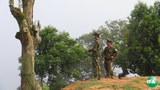 tnla-soliders-620.jpg