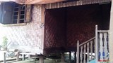 tamuu-home-620.jpg