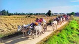 တန့်ဆည်မြို့နယ် ချောင်းဆုံရွာမှာ နေအိမ်တွေ မီးရှို့ခံရ