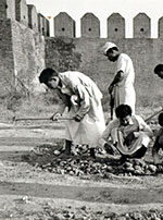 prison_labor_AAPP_150px.jpg prison_labor_AAPP_150px.jpg