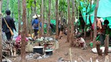 စစ်တပ်အာဏာသိမ်းပြီး လေးလကျော်အတွင်း စစ်ပြေးဒုက္ခသည် နှစ်သိန်းကျော်အထိ ရှိလာ