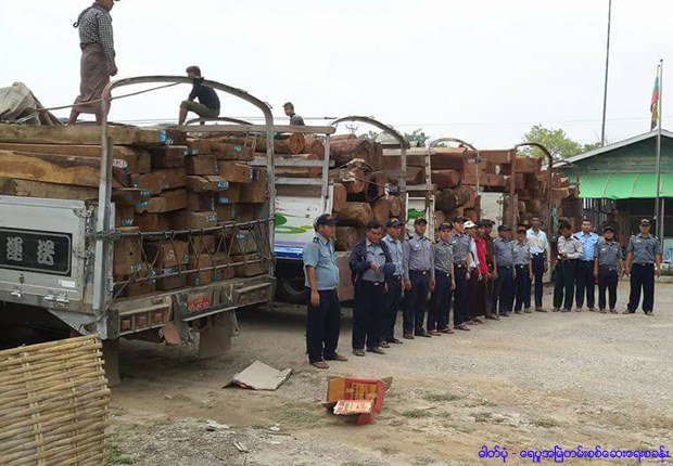 illegal-logging-620.jpg illegal-logging-620.jpg
