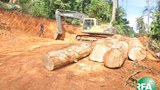 logging-305.jpg
