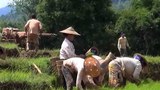 farmers-622.jpg