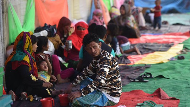 india-rohingya-622.jpg