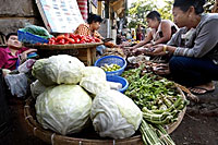 bazaar_200px.jpg bazaar_200px.jpg