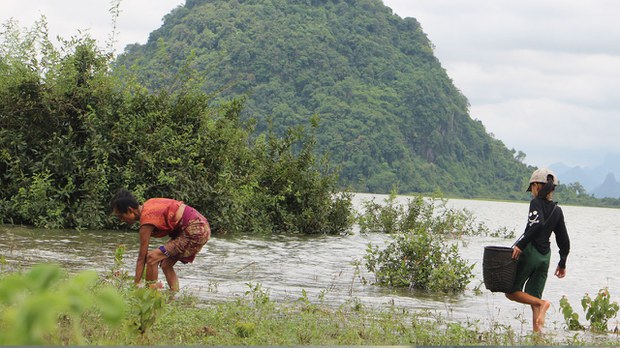 ဘားအံမြို့နယ်မှာ လက်နက်ကြီးကြောင့် အရပ်သား သုံးဦး သေဆုံး၊ တစ်ဦး ဒဏ်ရာရ