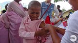 japanese-encephalitis-622.jpg