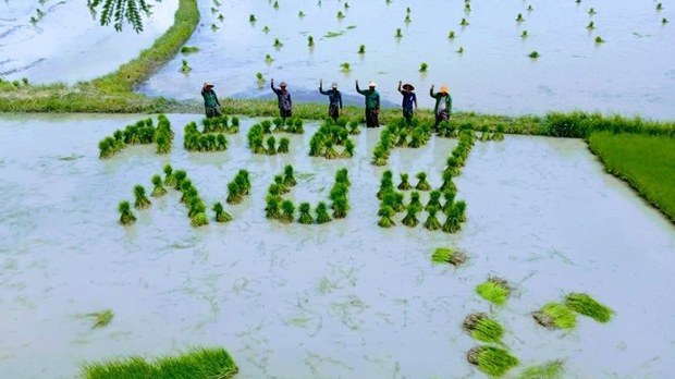 ရွှေဘိုခရိုင်က ရပ်ကျေးအုပ်ချုပ်ရေးမှူးဟောင်း ရိုက်နှက်ဖမ်းဆီးခံရ