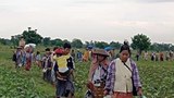 ခင်ဦးမှာ လက်နက်ကြီးကြောင့် အရပ်သား ခြောက်ဦးသေဆုံး