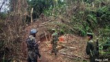 kia-soldiers-622.jpg