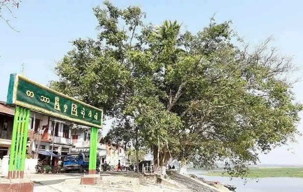 ကသာမြို့နယ်မှာ ကာကွယ်ရေးတပ်ဖွဲ့ဝင် နှစ်ဦးနဲ့ ဒေသခံတစ်ဦး သတ်ဖြတ်ခံရ