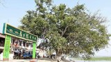 ကသာမြို့နယ်မှာ ကာကွယ်ရေးတပ်ဖွဲ့ဝင် နှစ်ဦးနဲ့ ဒေသခံတစ်ဦး သတ်ဖြတ်ခံရ