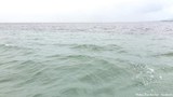 kyaukphyu-water-pollution-622.jpg