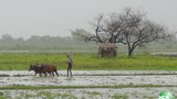 farmers-620.jpg