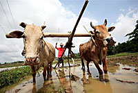 farmer_plough_200px.jpg