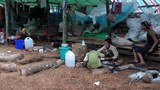 namtuu-refugees-620.jpg