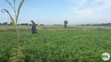 magway-land-622