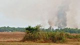 မောင်တော ရွှေရင်အေးရွာက နေအိမ် ငါးဆယ်ခန့် မီးရှို့ခံရ