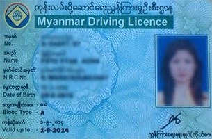 driver_license_305 driver_license_305