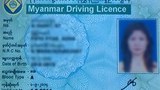 driver_license_305