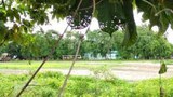 ရွှေဘိုမြို့နယ်ထဲက ရွာတစ်ချို့ကို စစ်ကောင်စီ ဝင်ရောက်စီးနင်း