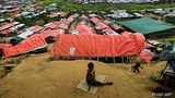 bangladesh-refugees-622.jpg