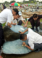 jade_traders_150px.jpg jade_traders_150px.jpg
