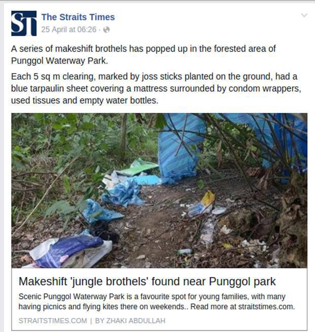 the-straits-times-620.jpg the-straits-times-620.jpg