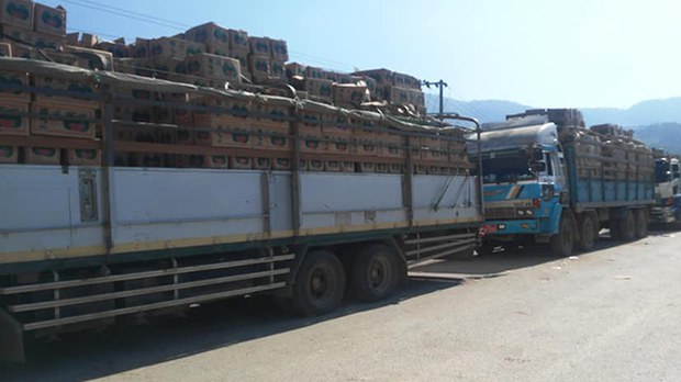 truck-muse-622.jpg truck-muse-622.jpg