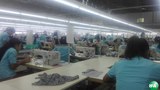 factory-workers-622.jpg