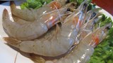prawn-305.jpg