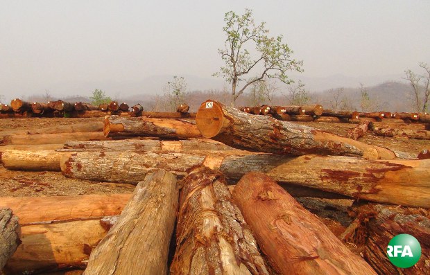 logging-620.jpg logging-620.jpg