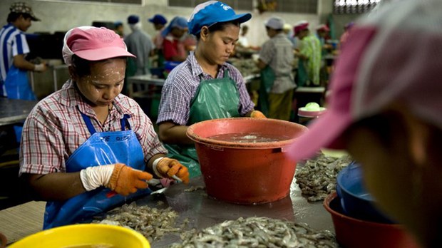 myanmar-workers-in-thai-622.jpg myanmar-workers-in-thai-622.jpg