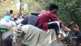 မြောင်မြို့နယ်ကို စစ်ကြောင်းထိုးလာလို့ ဒေသခံတစ်သောင်းကျော် ထွက်ပြေးရ