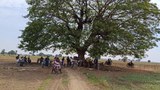 မြောင်မှာ နယ်မြေရှင်းလင်းရေးကြောင့် ဒေသခံ ၅၀၀၀ ကျော် ထွက်ပြေး