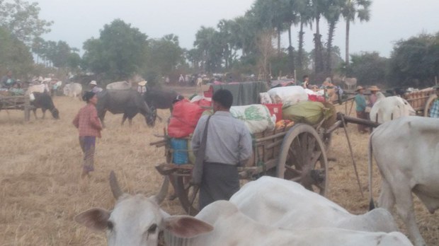 မြင်းမူမှာ ရွာငါးရွာက ဒေသခံ ငါးထောင်ကျော် ထွက်ပြေးနေရ မြင်းမူမှာ ရွာငါးရွာက ဒေသခံ ငါးထောင်ကျော် ထွက်ပြေးနေရ