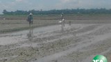 rakhine-lands-620.jpg