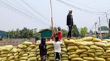 နိုင်ငံအနှံ့ ဆန္ဒပြလှုပ်ရှားမှုတွေနဲ့ ထိပ်တိုက်ရင်ဆိုင်မှုတချို့ရှိ