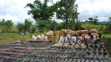 နောင်ချို ခမရ-၁၁၅ တပ်ရင်းကနေ လက်နက် လေးရာနီးပါး ရရှိကြောင်း TNLA ပြော