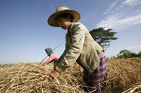 farmer_crop_200px.jpg