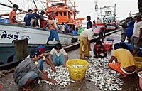 migrant_workers_A_200px.jpg migrant_workers_A_200px.jpg