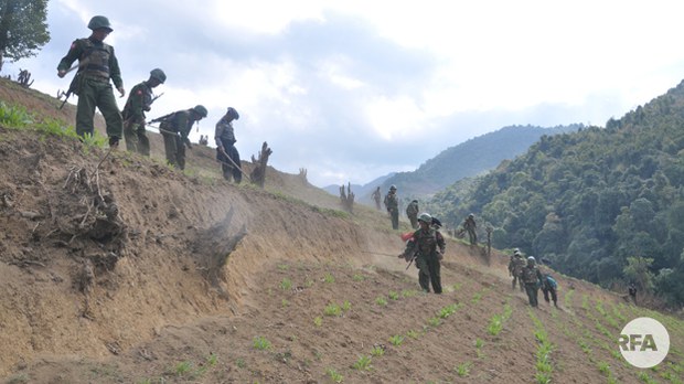opium-kachin-622.jpg opium-kachin-622.jpg