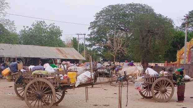 ပုလဲမှာ PDF တစ်ဦးနဲ့ ဒေသခံနှစ်ဦး သတ်ဖြတ်ခံရ ပုလဲမှာ PDF တစ်ဦးနဲ့ ဒေသခံနှစ်ဦး သတ်ဖြတ်ခံရ