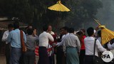 parmaukkha-622.jpg