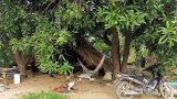 စစ်ကိုင်းမြို့နယ်မှာ ငါးရက်အတွင်း PDF နဲ့ အရပ်သား ၃၆ ဦး သတ်ဖြတ်ခံရ