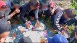 ဖယ်ခုံ PDF အင်အား ၁၅ဝဝ ခန့်အထိ တိုးလာ