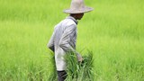 လယ်မြေရေရရှိရေး တိကျပြတ်သားတဲ့ ညွှန်ကြားချက် လိုအပ်