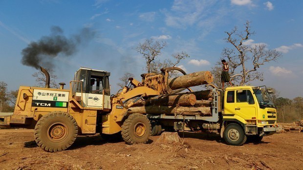 ပိတ်ဆို့အရေးယူမှုရှိပေမဲ့ မြန်မာကျွန်းသစ်ကို ပိုလန်က ဆက်လက်ဝယ်ယူနေ ပိတ်ဆို့အရေးယူမှုရှိပေမဲ့ မြန်မာကျွန်းသစ်ကို ပိုလန်က ဆက်လက်ဝယ်ယူနေ