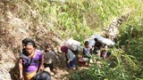 rakhine-refugees-622.jpg
